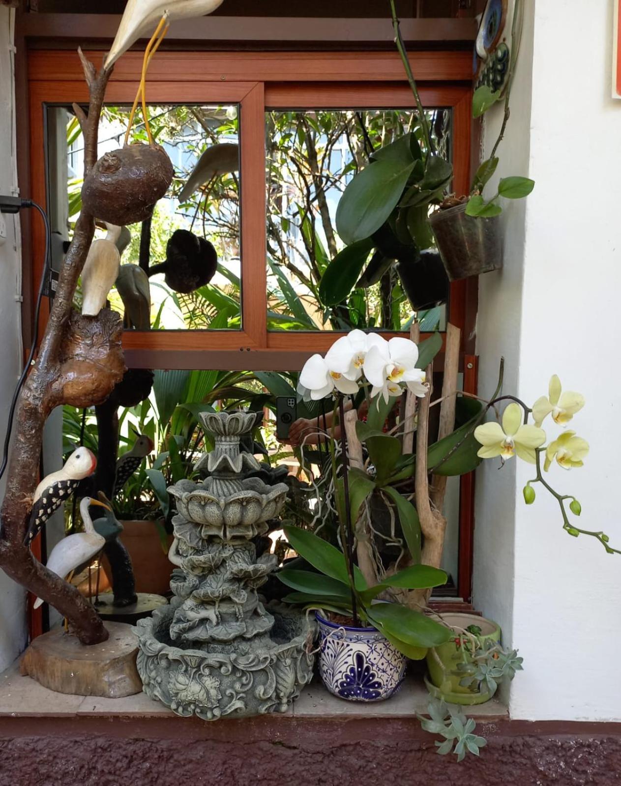 Posada Galeria Alberto Sedas Huatusco ภายนอก รูปภาพ
