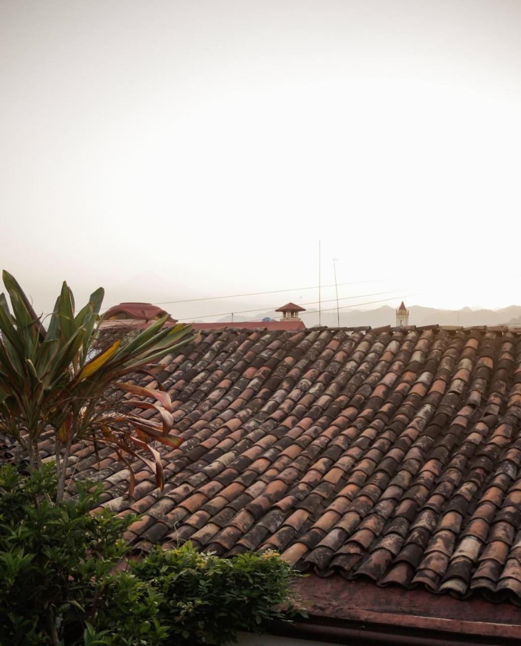 Posada Galeria Alberto Sedas Huatusco ภายนอก รูปภาพ