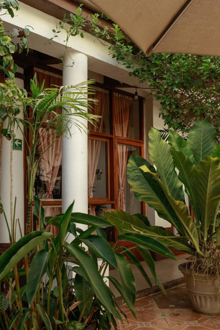 Posada Galeria Alberto Sedas Huatusco ภายนอก รูปภาพ